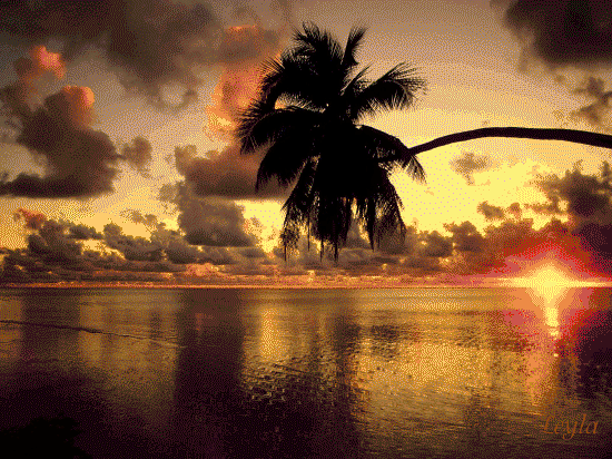 Закат солнца тропики анимация автор leyla