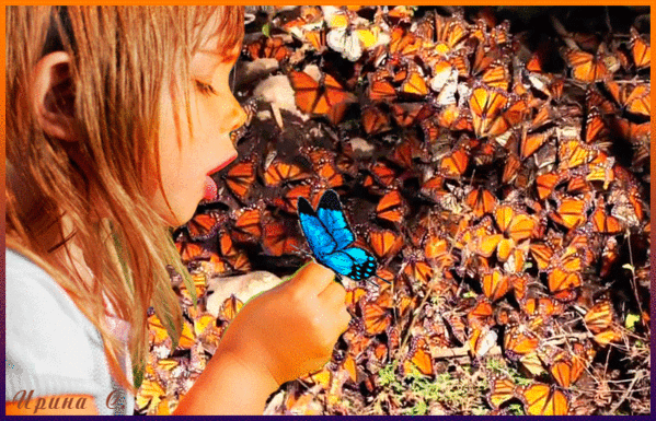 Девочка с бабочкой анимационная картинка с детьми